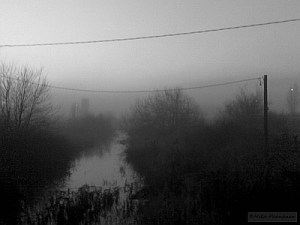 BWFogScape_small