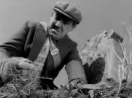 I beat Knight Templar and won a whistle!(BBC)