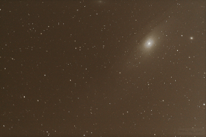 M31